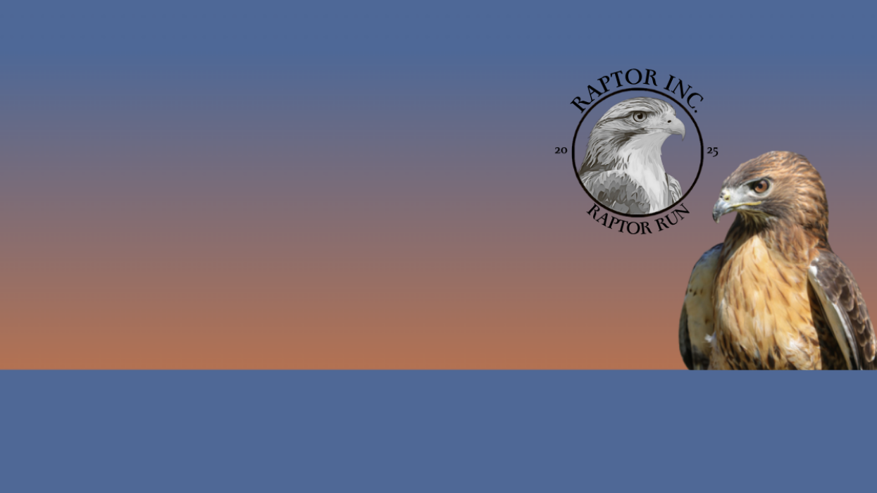 A color picture of a red-tailed hawk staring to the left toward and an inset image of the RAPTOR 5K Run logo
